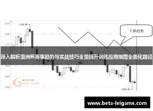 深入解析澳洲杯赛事趋势与实战技巧全面提升训练应用指南全面化路径