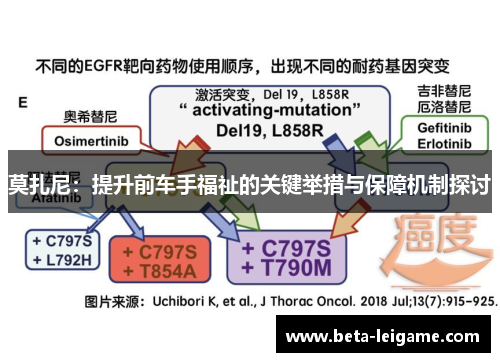 莫扎尼：提升前车手福祉的关键举措与保障机制探讨