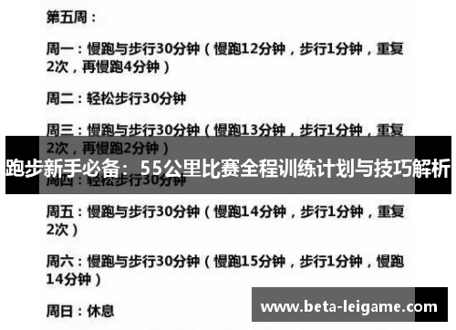 跑步新手必备：55公里比赛全程训练计划与技巧解析